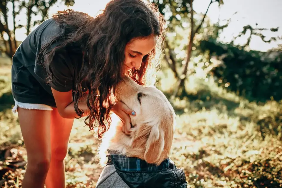 Dog with an owner at home