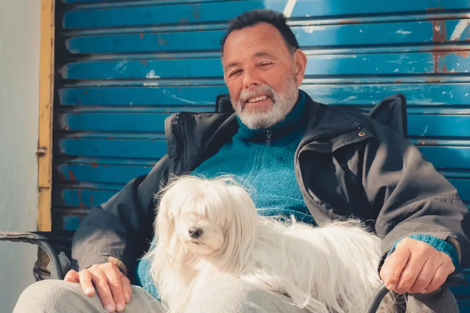 Dog with an owner at home