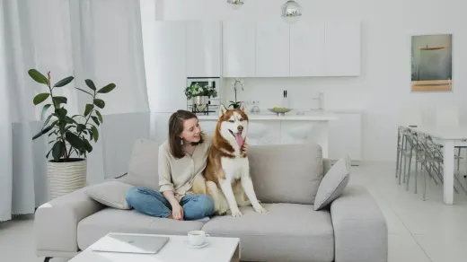 Dog with an owner at home