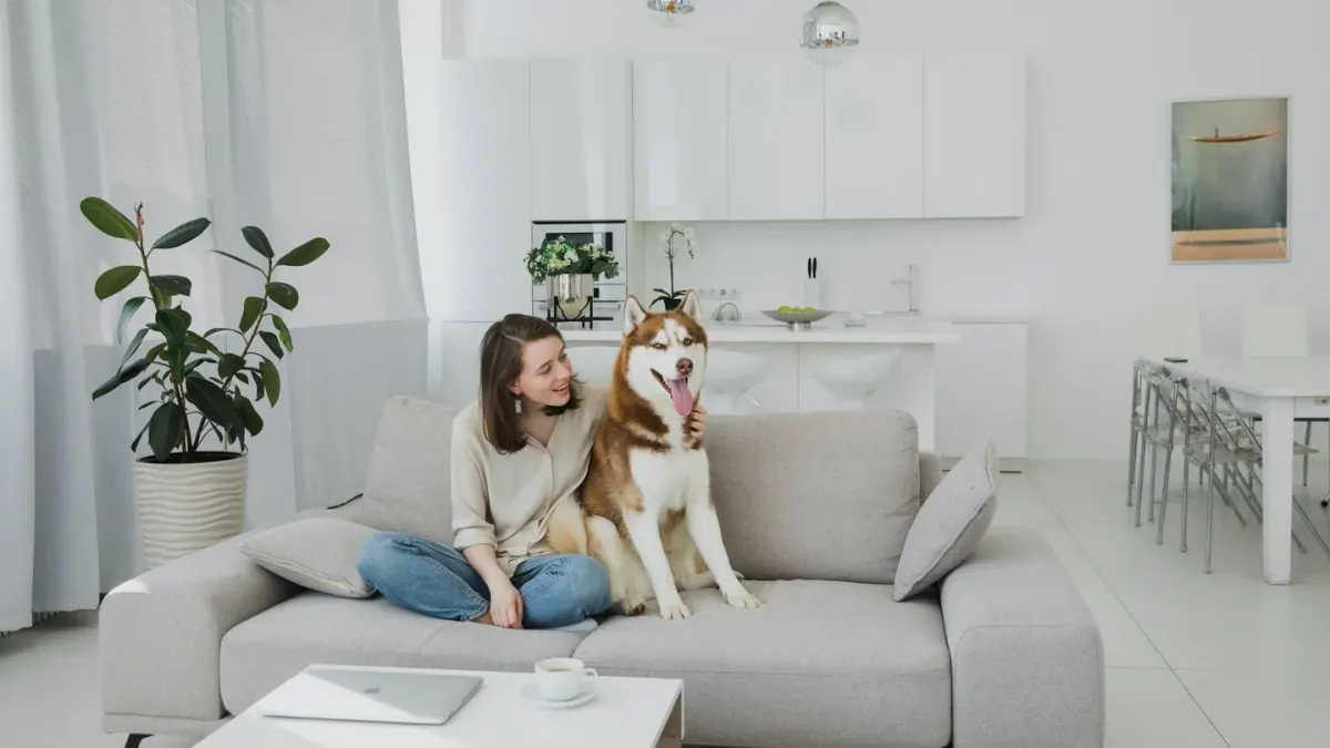 Dog with an owner at home