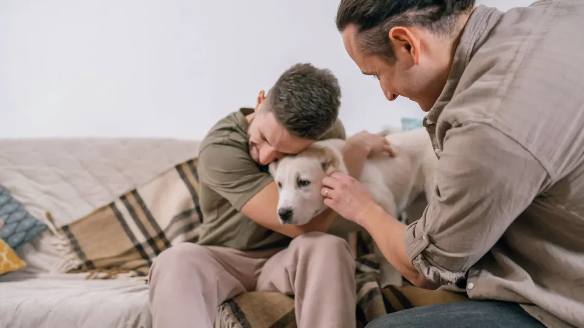 Dog with an owner at home