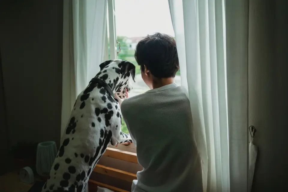 Dog with an owner at home