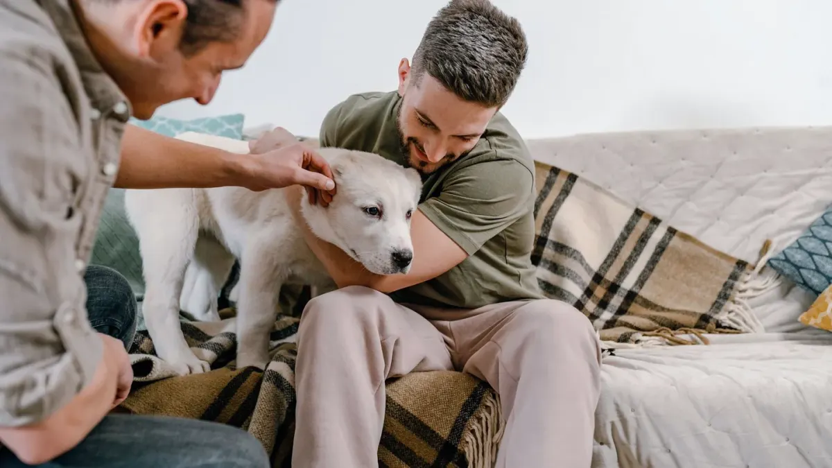 Dog with an owner at home