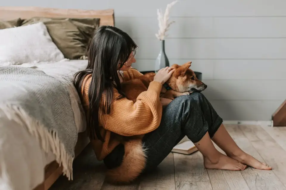 Dog with an owner at home