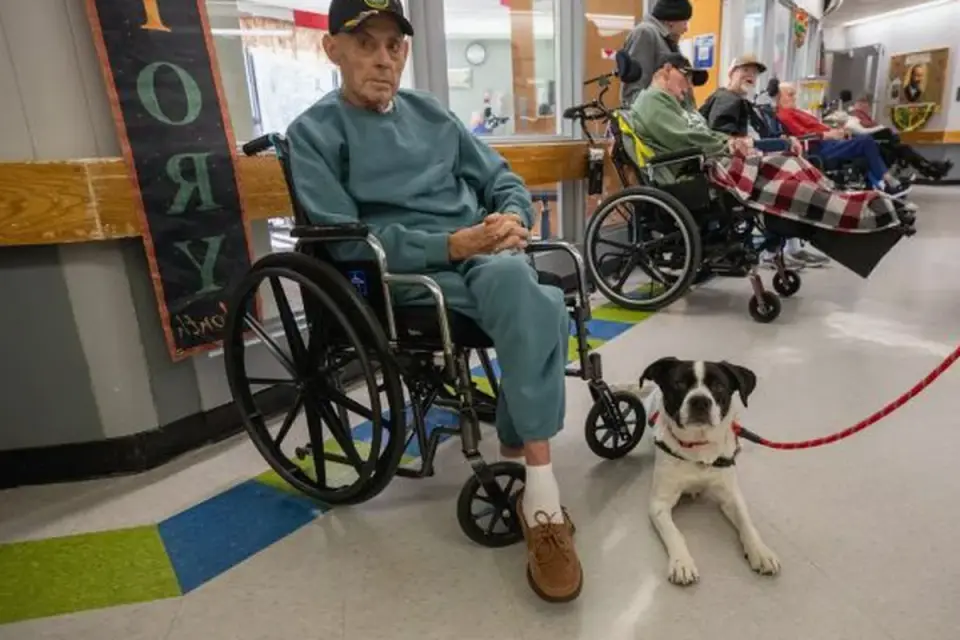Dog with an owner at home
