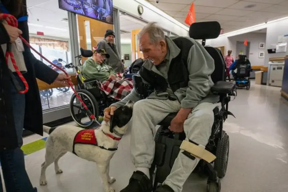 Dog with an owner at home