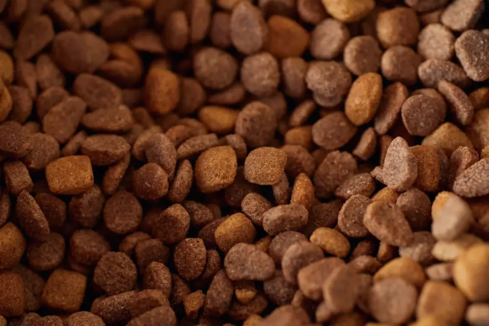 Kibble scattered across the floor around a dog's food bowl
