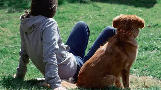 Older dog with an owner in a park