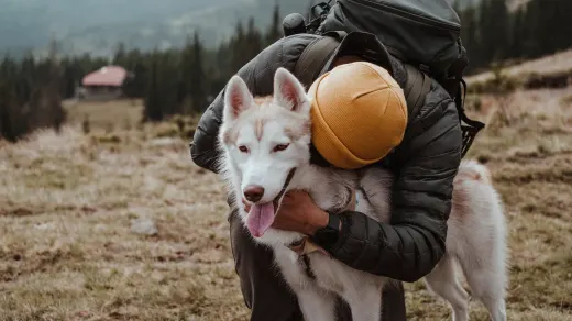 Owner helping a senior dog