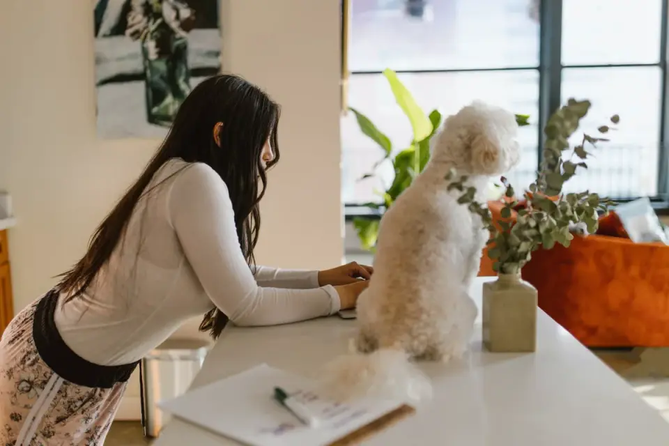 Owner reading a dog supplement label at a kitchen counter