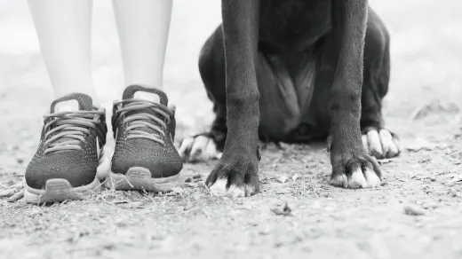 Owner supporting a dog