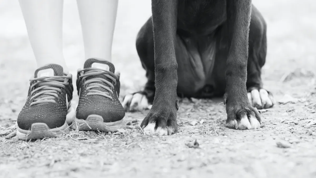 Owner supporting a dog