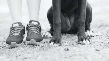 Owner supporting a dog