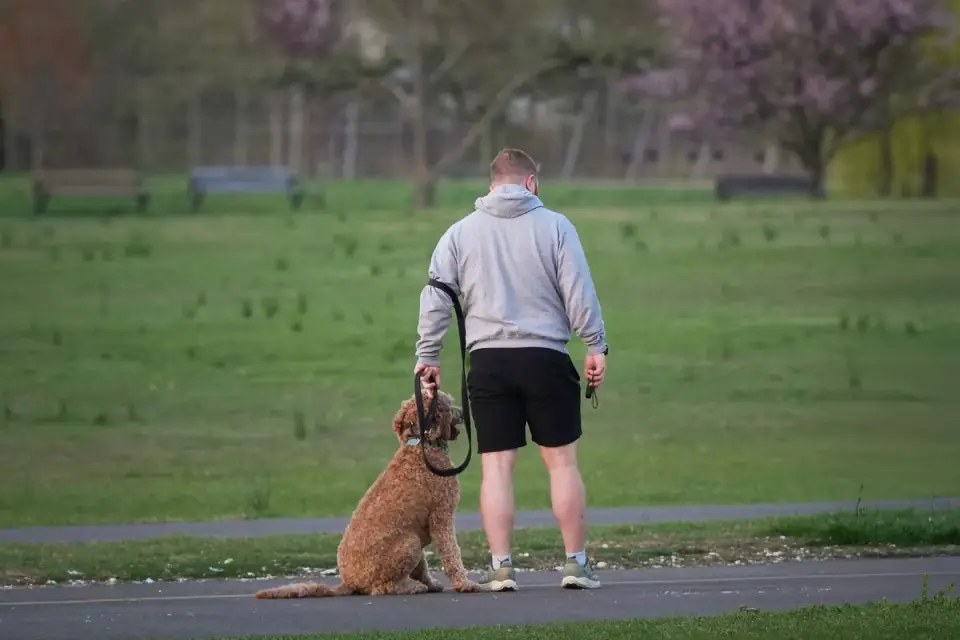 Owner supporting a dog