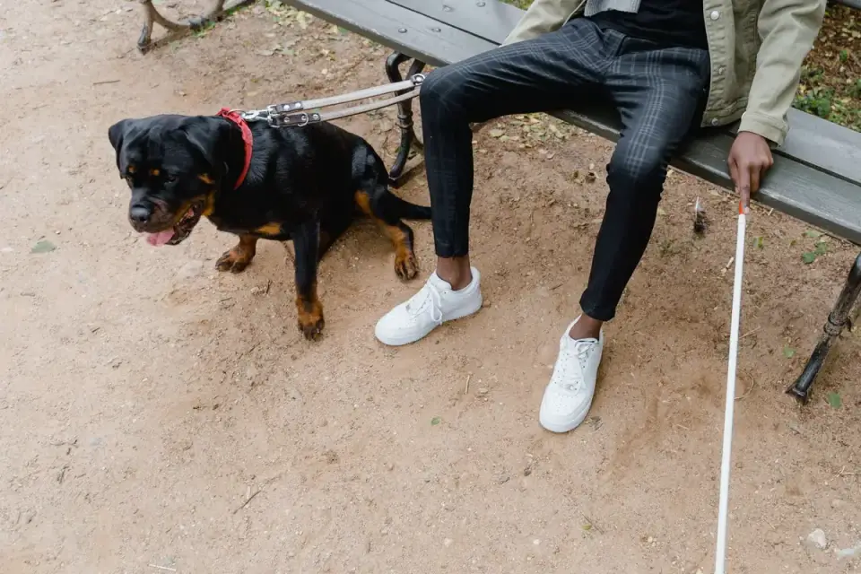 Owner supporting a dog