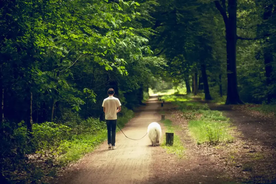 Owner supporting a dog