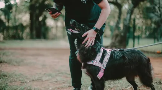 Owner supporting a dog