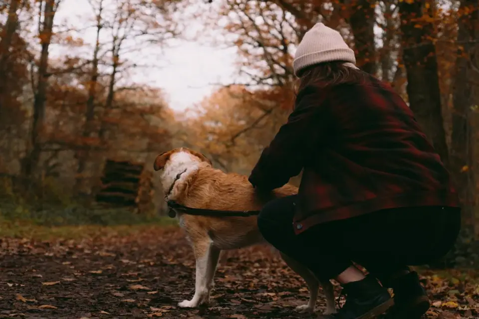 Owner supporting a dog