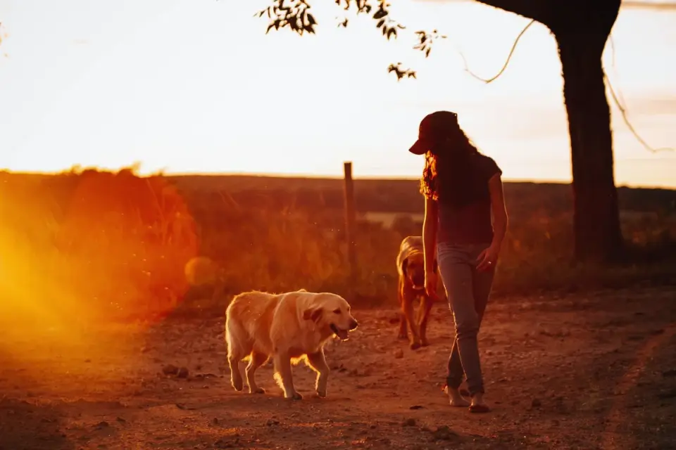 Owner supporting a dog