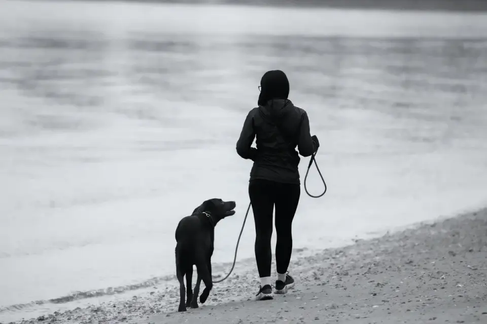 Owner supporting a dog
