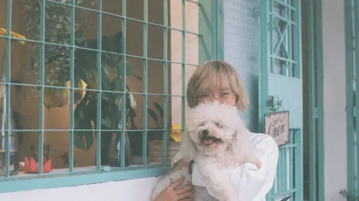 Senior dog walking with an owner