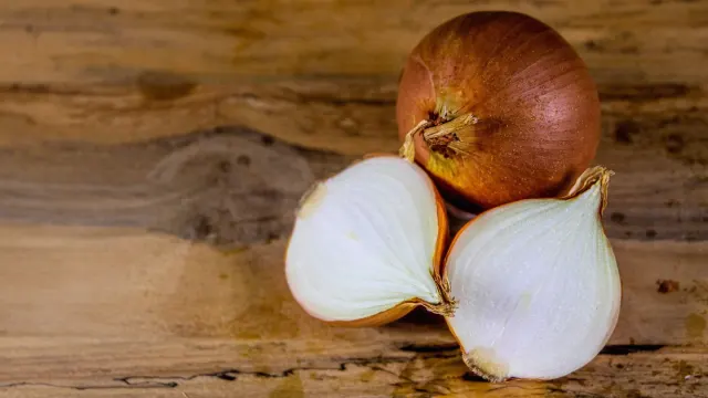 Sliced onion sitting near a dog's food bowl on a kitchen counter
