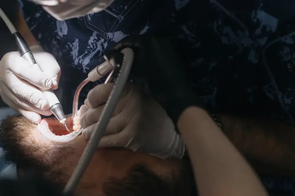 Veterinarian checking a senior dog&#x27;s mouth during an exam